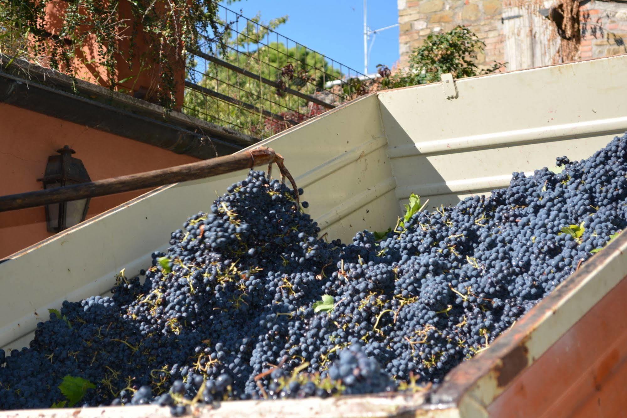 Alloggio per agriturismo La Volpe E L'uva *